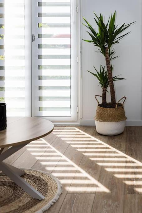 Apartmán Chartres - Le Saint Pierre Exteriér fotografie
